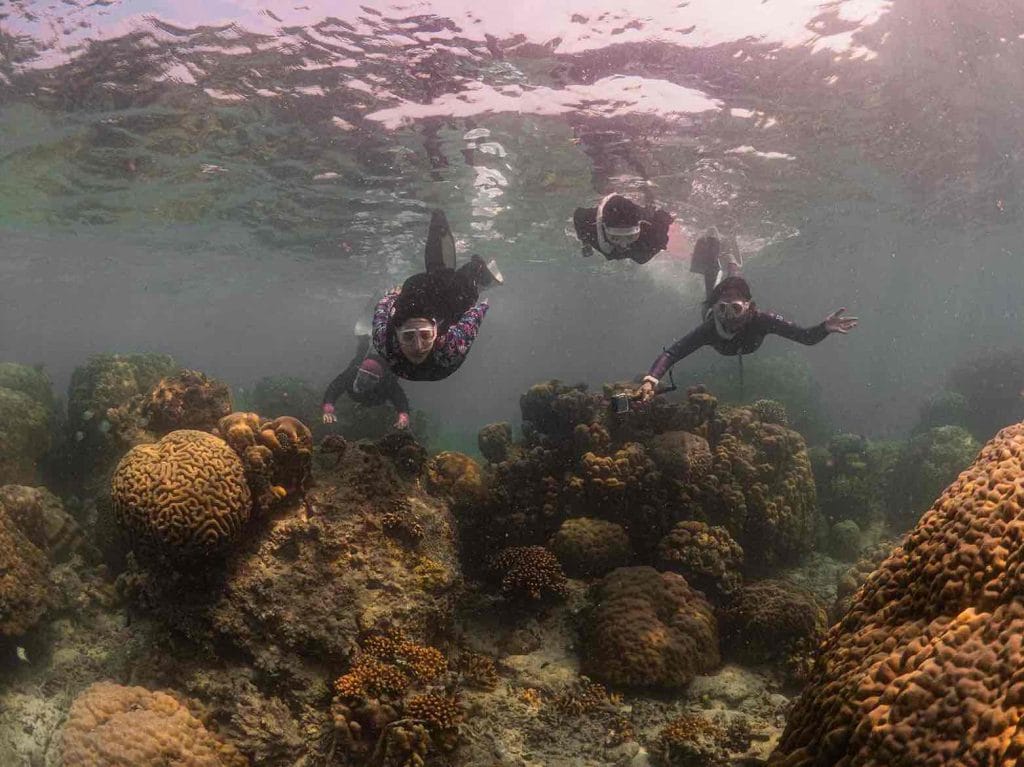 3 Hal Berbahaya yang Dilakukan Saat Free Diving